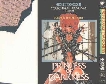 princess of darkness cover