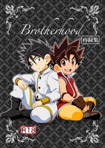 brotherhood sairokushuu cover
