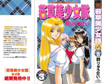 wakakusa bishoujotai vol 3 cover