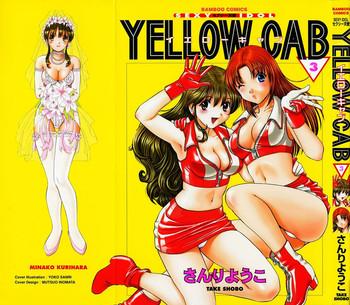 sexy tenshi yellow cab vol 3 cover