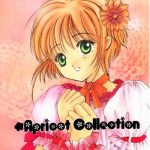 apricot collection cover